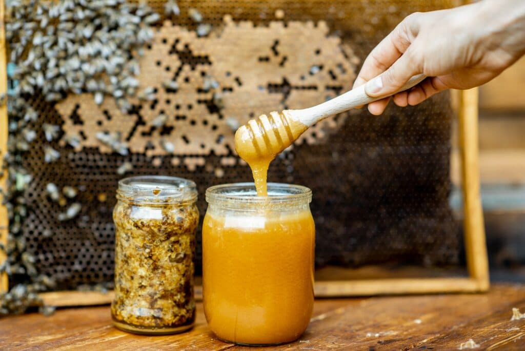 Fresh honey on the beehive