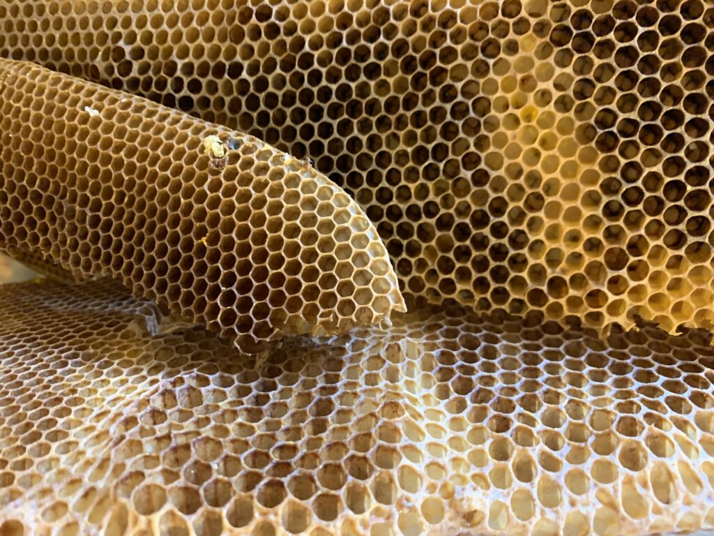 Beeswax pattern