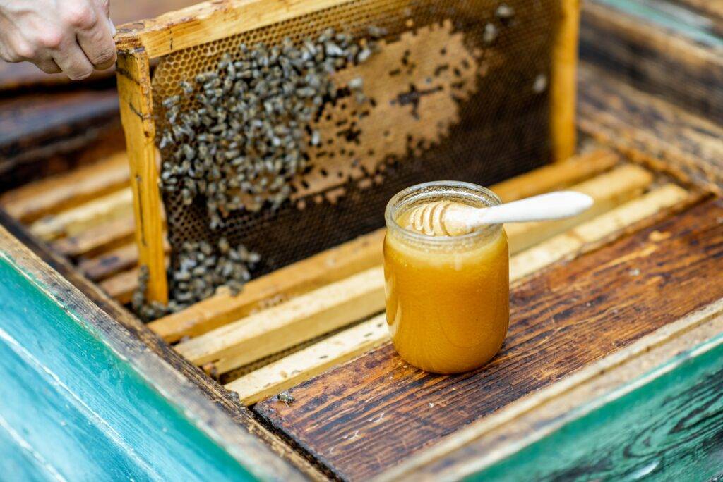 Fresh honey on the beehive
