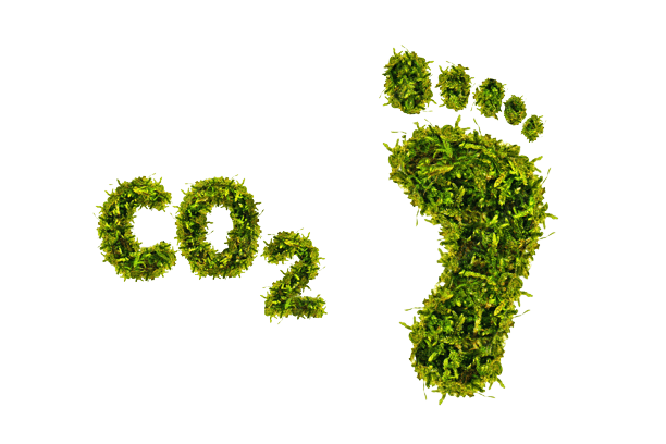 Grüner CO2-Fußabdruck, dargestellt aus Moos, symbolisiert nachhaltigen Umweltschutz.